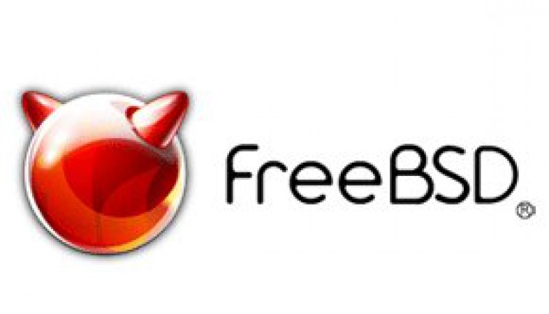 freebsd nano editör