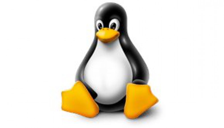 Linux Sunucuda DDOS ve Syn Saldırılarını Engelleme